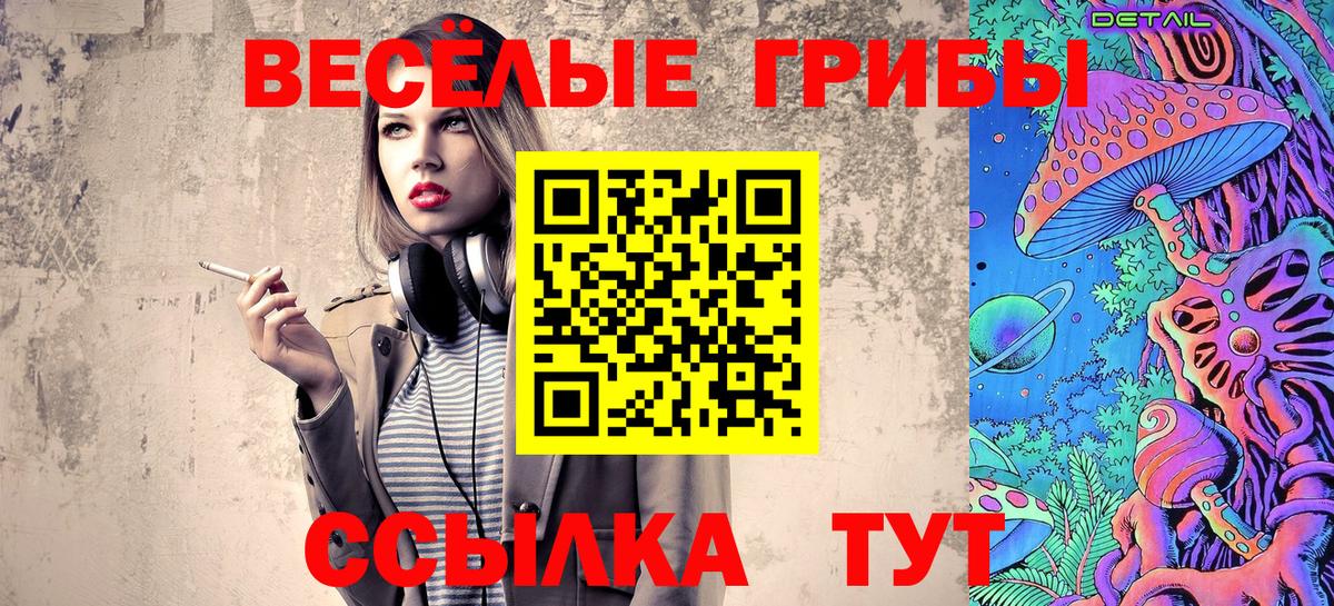 Галлюциногенные грибы MAGIC MUSHROOMS  как найти закладки  Чебоксары  Галлюциногенные грибы MAGIC MUSHROOMS  Вход с VPN 